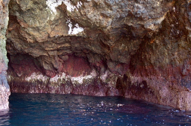 Sea cave in Landing Cove.  This one goes in about 30 feet as it curves.