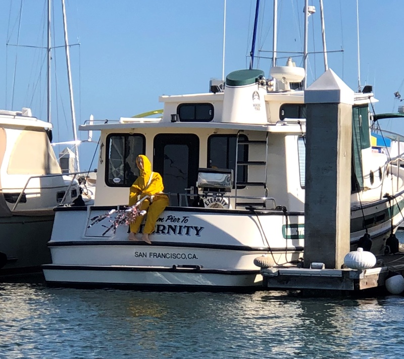 Sea lion scare crow at South Beach Marina