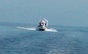 Sea Pal Crossing Albemarle (2)