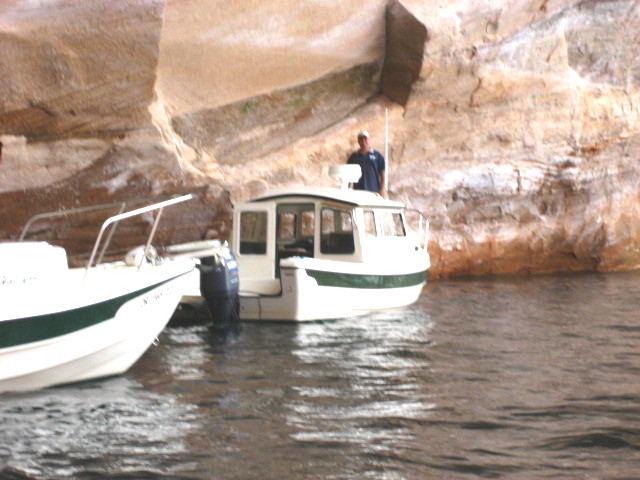 (SEA3PO) Rana Verde