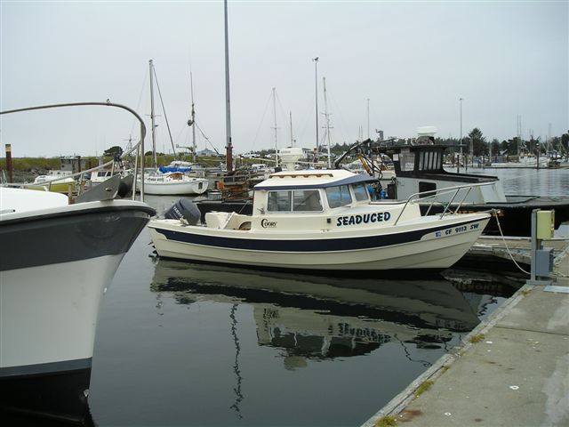 Seaduced at rest