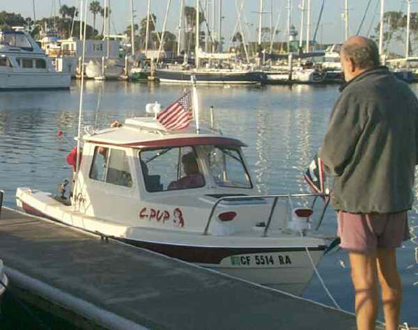 SeaPup-1.jpg