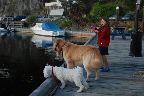 Secret Cove B.C.      Dawson has friends in every port