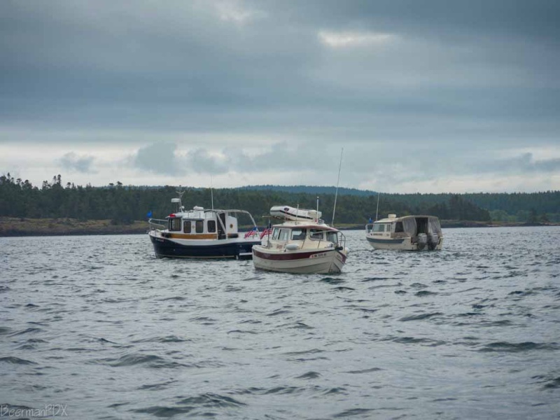 Sequim Fleet at Cattle Point