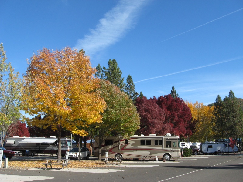 Shady Cove rv on Rogue River gorgeous spot right on the river