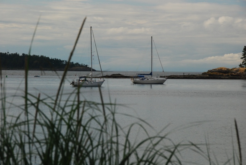 Shallow Bay, Sucia Island