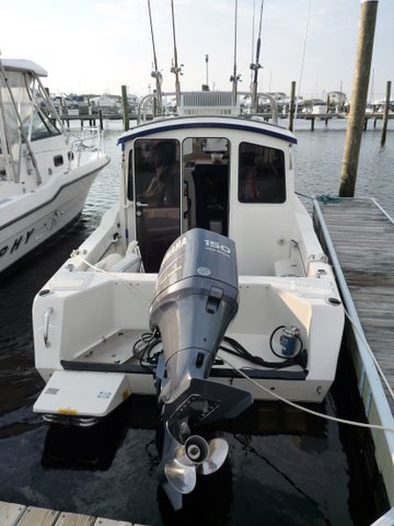 Sheltered Cove Marina back off the bay and up Tuckerton creek
