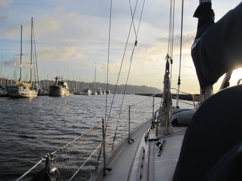Shilsole Marina