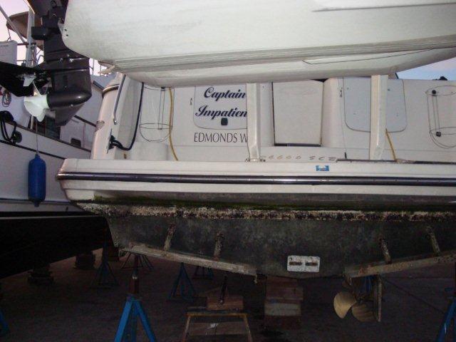 Shipwrecks 9 9 09 Oak Harbor Marina (4)