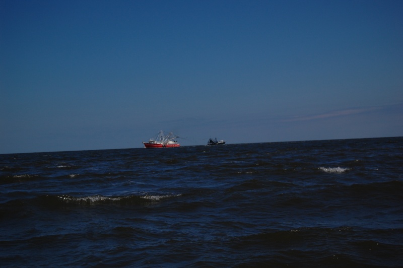 Shrimp Boats in St Andrews sound Jekyl Island to their North
