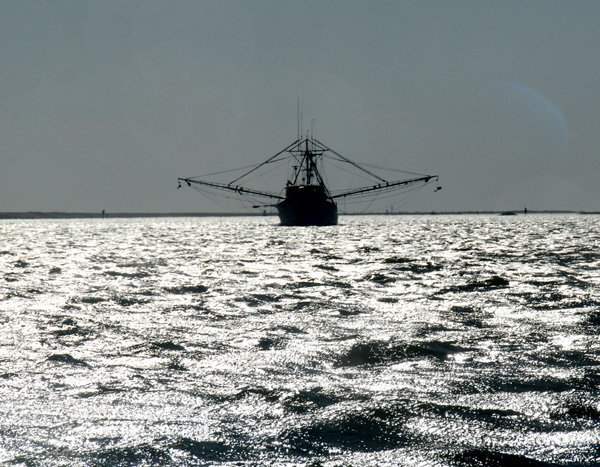 Shrimper backlit