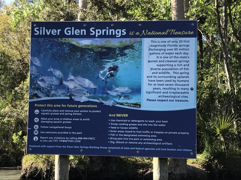 Silver Glen Springs