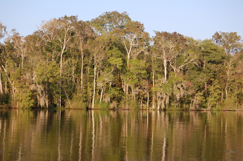 Six Mile Creek North part of Saint Johns east side of river