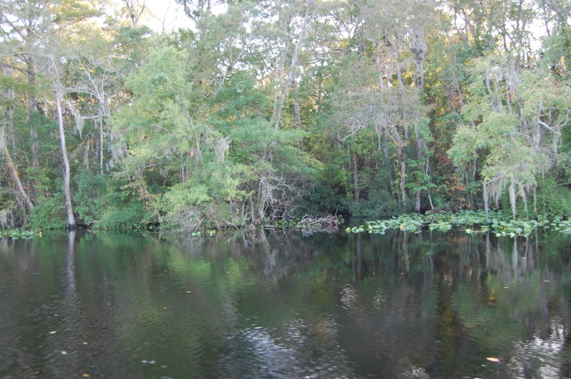 Six Mile Creek