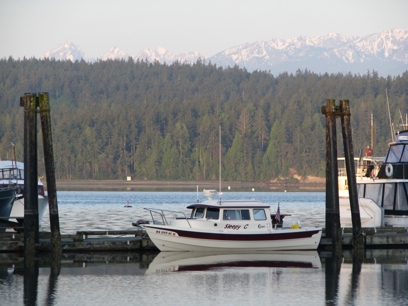 SleepyC and Olympic Mtns from Mystery Bay SP May 2009 Cal