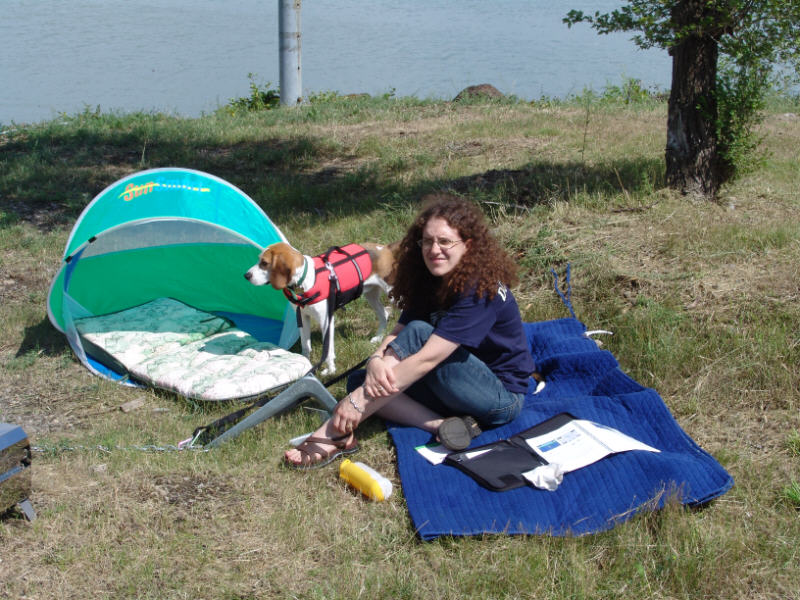 Small Picnic 4