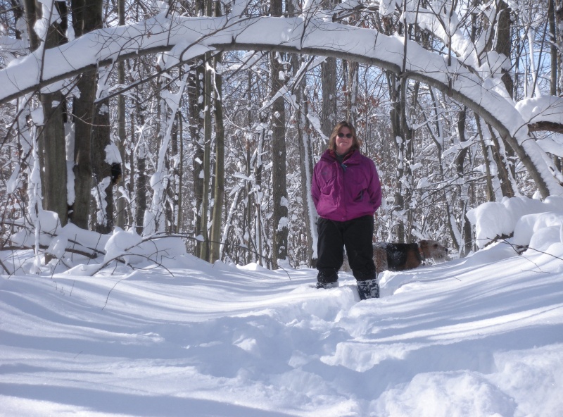Snow arch in our woods / Feb 2010.  18" in one night!  This has been the snowiest Feb since records have been kept.