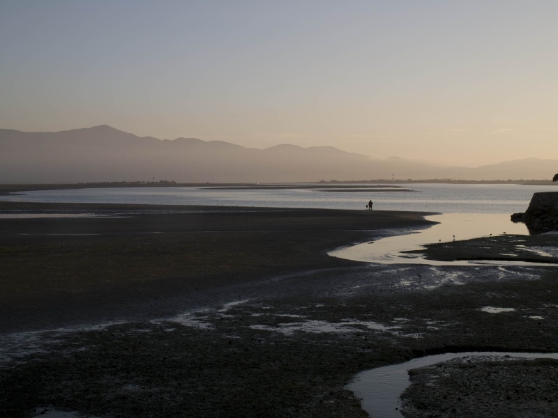 Solitary fisherman