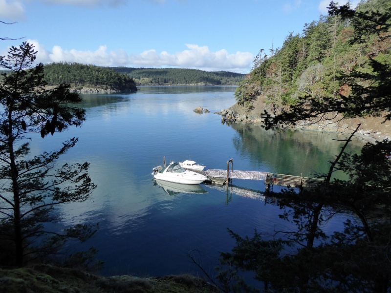 Spent a couple of hours chatting with Jean and Bill on their 34' Sundancer...they cruise all over, usually up to the Broughtons every year.