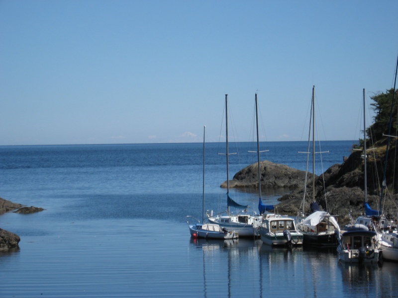 Squitty Bay.  South end Lasqueti