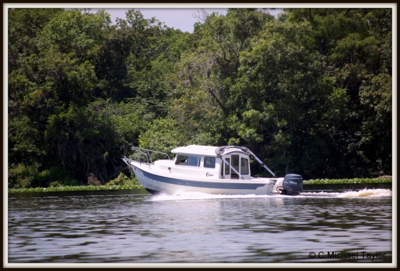 St Johns River