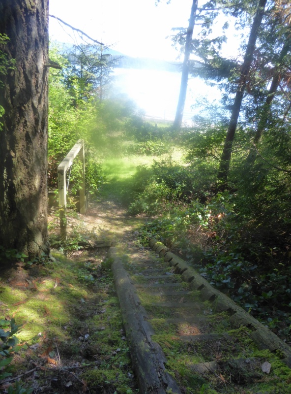 Stairs down to Pelican Beach