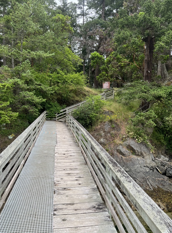 Steeper than it looks. Reid Harbor park dock walkway