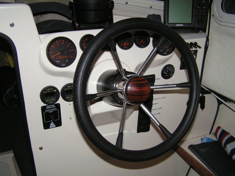 Steering Wheel Insert