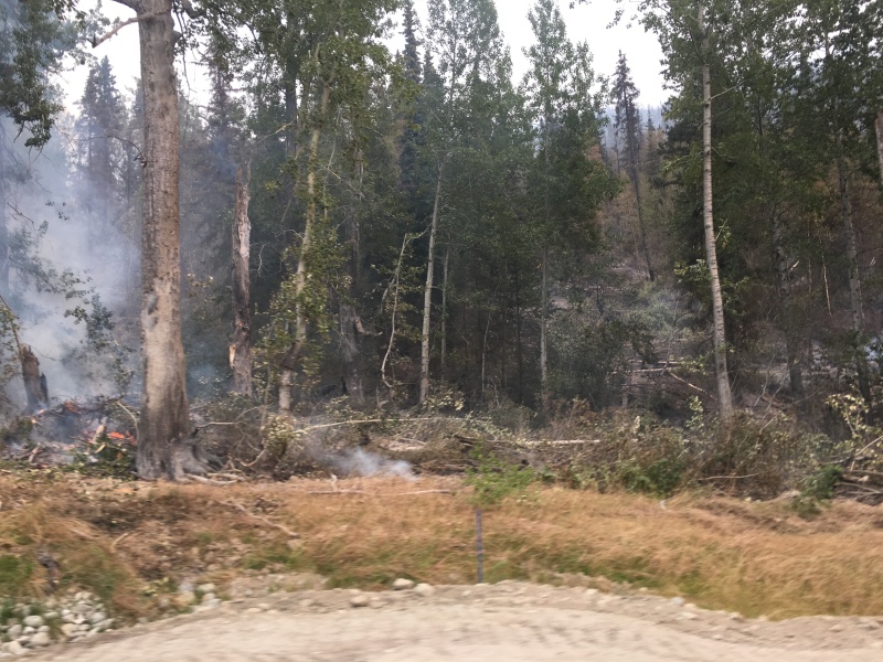 Sterling Hwy. late last July/Aug the day before it jumped the Hwy.