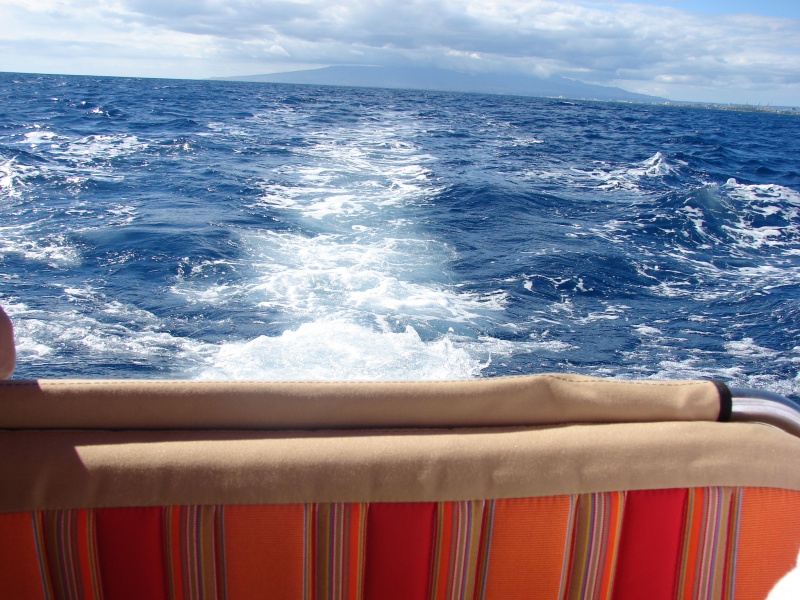 Stern view
