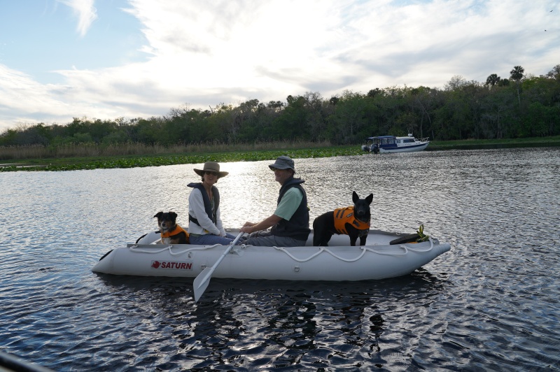 Steve, Tina and the pups go for a row
