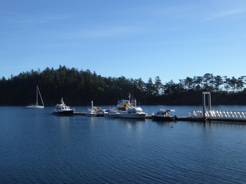 Still room on Dock 2 as well. Struggling with a cold, I did not feel like moving the boat.