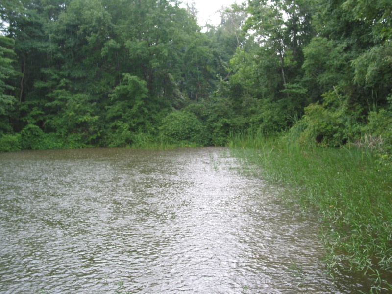 Storm Cove