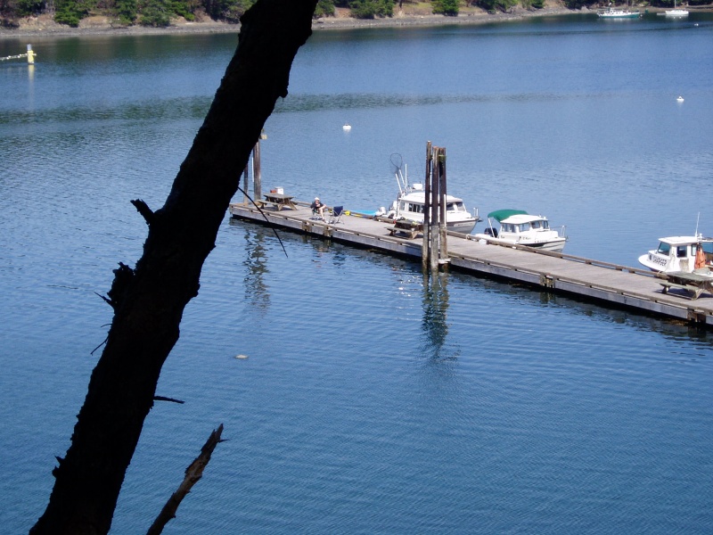 Stuart Island 026