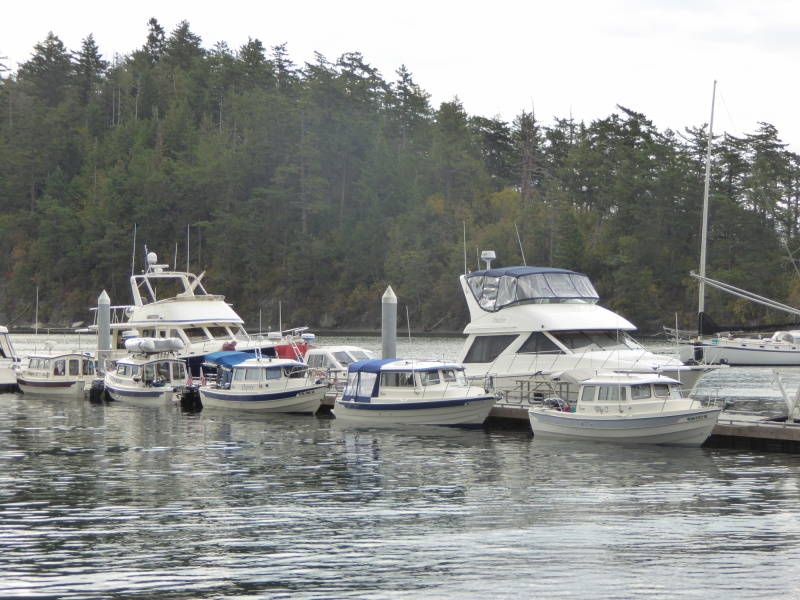 Sucia CBGT all boats now together
