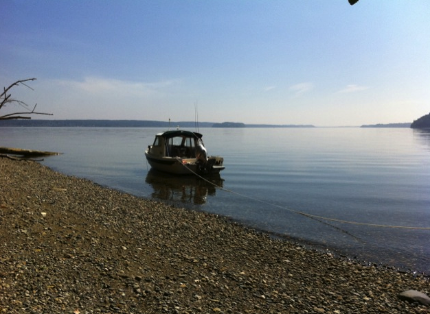 Summer on Fox Island