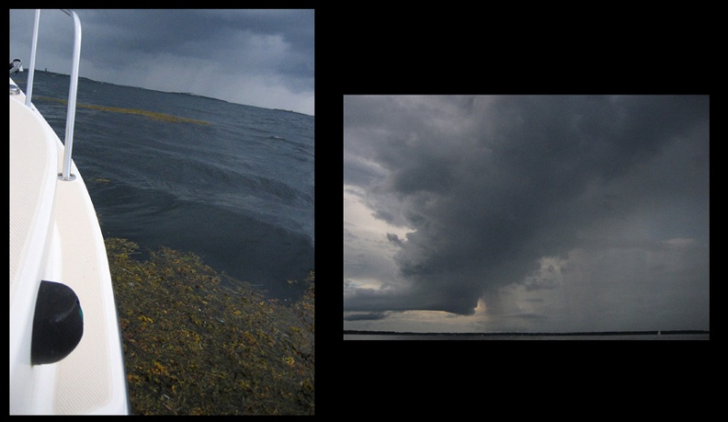 SummerStorms