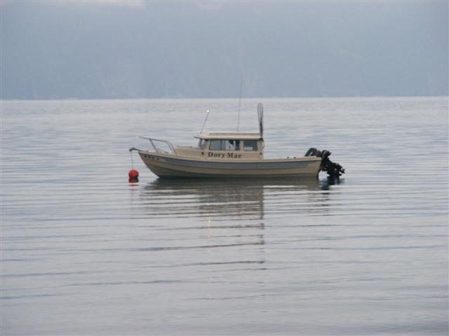 Sunny Cove in Resurrection Bay