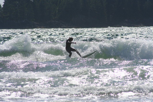 surfers at tofino