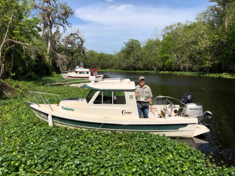Tadpole \"Weed Anchoring\" for the first time.