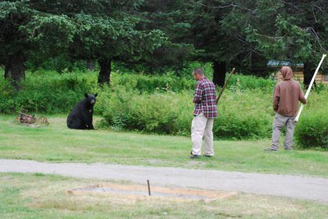 Taku Lodge staff preventing the bear from getting to close to tourists