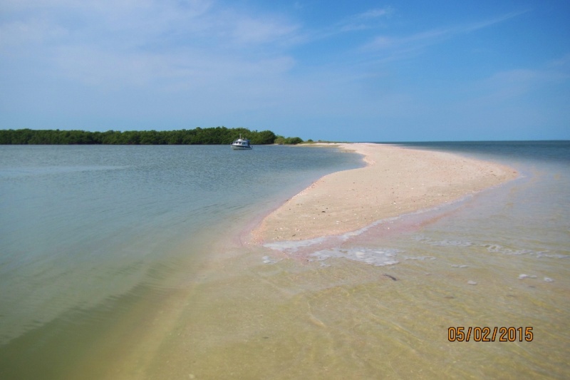 Ten Thousands Islands May 2015
Gullivan Isl