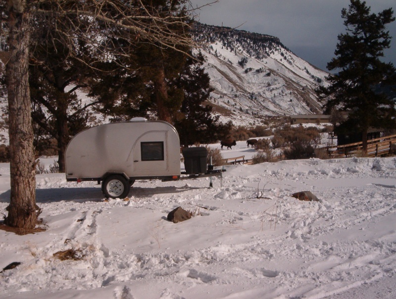 The bison in the background are bigger than the camper.