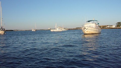 The Cape May Anchorage