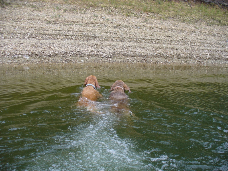 The "Crew" jumped ship before the dinghy got to shore.