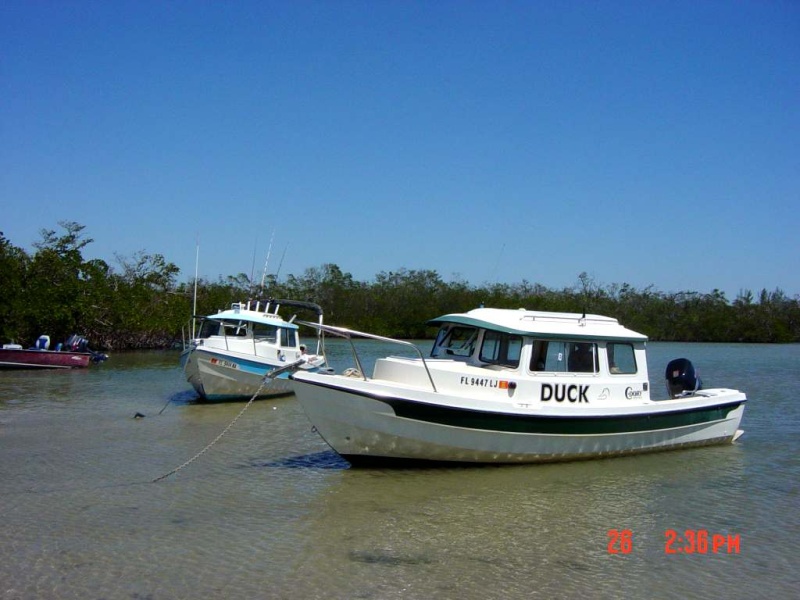 The Duck and Papillon at Secret Beach