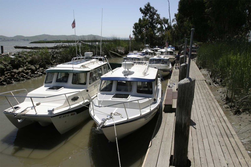 The fleet moored at the Duck Club dock.