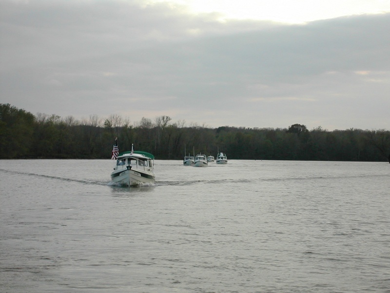 The flotilla...