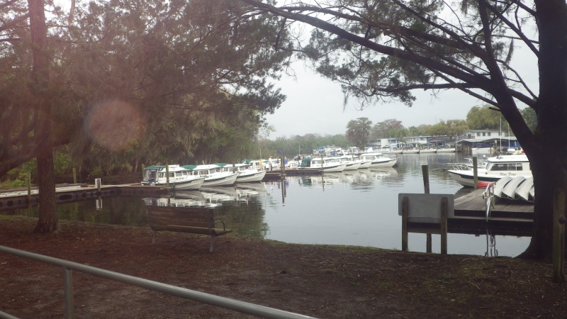 The Gathering at Hontoon Island