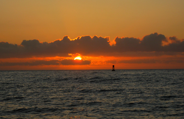 The Gulf